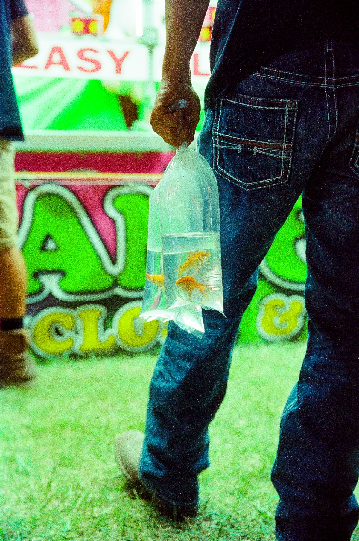 Goldfish